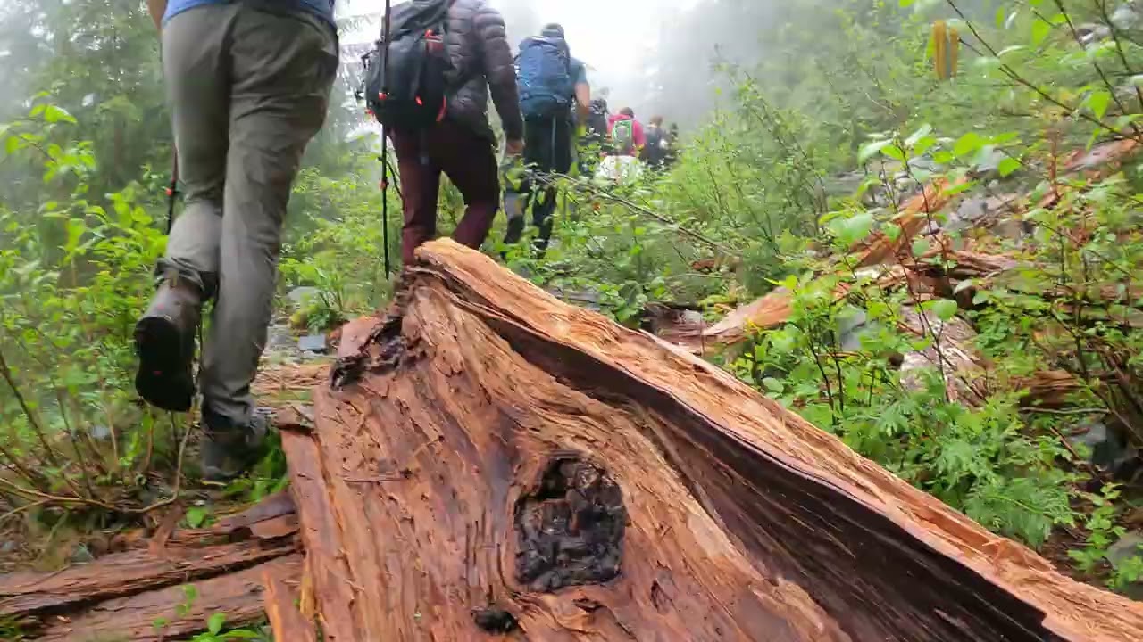 Mount Crickmer | Hiking Cinematic Video | Go Pro | Mission | Canada | Trekkerpedia Exclusive