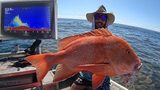 1770 Reef Fishing Chaos! Angry Shark VS Monster Red Emperor screenshot 4