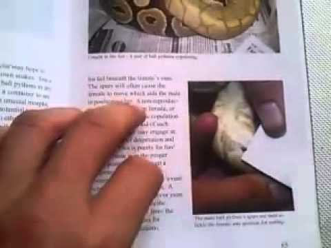 MOV_0074.mp4