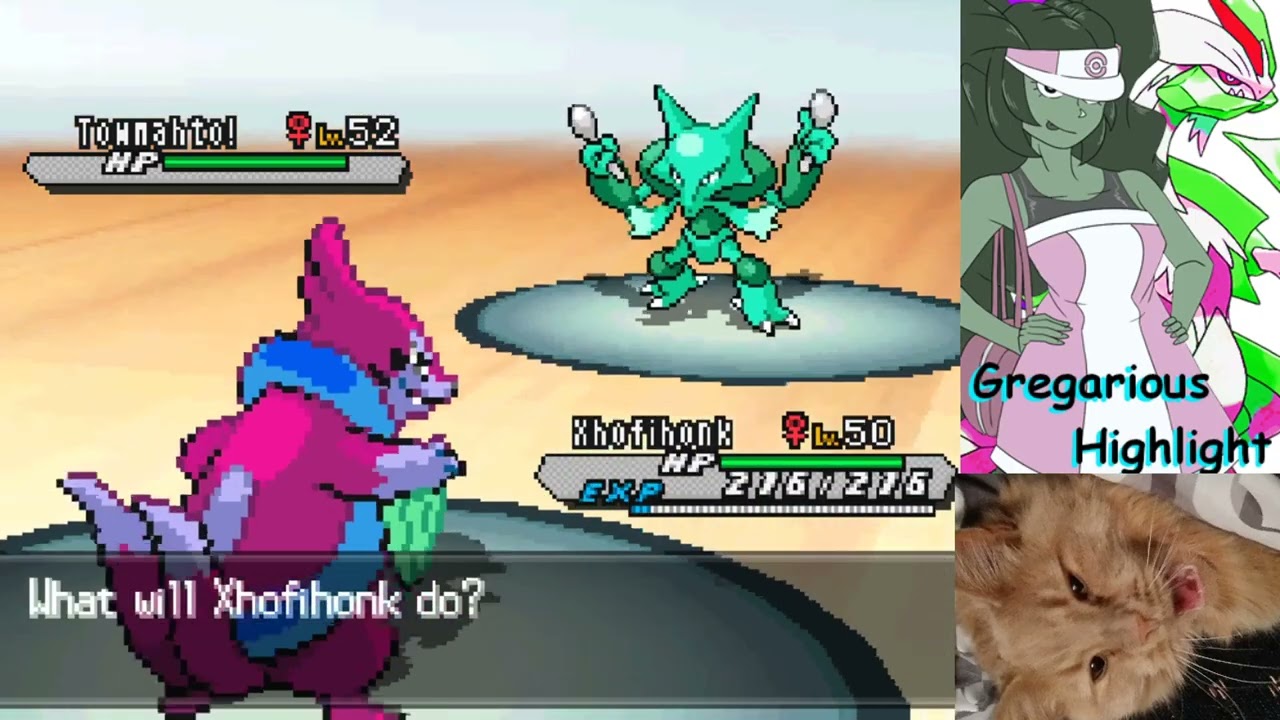 Pokemon Gregarious Highlight FINALE