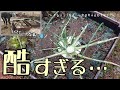 【惨状】荒らされた犯行現場を押さえました!!野菜ズタボロ⤵️一生懸命育てたのに悔しくて仕方ありません…。