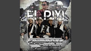 Video thumbnail of "Caimanes De Sinaloa - El Piyi"