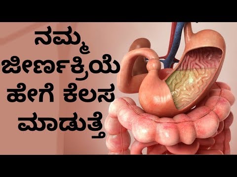 How the digestive system works step by step? IN Kannada
