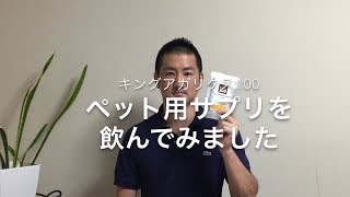 キングアガリクス100ペット用（犬猫用サプリメント）を飲んでみました