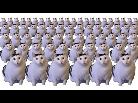 huh cat x10000000 🐈💨