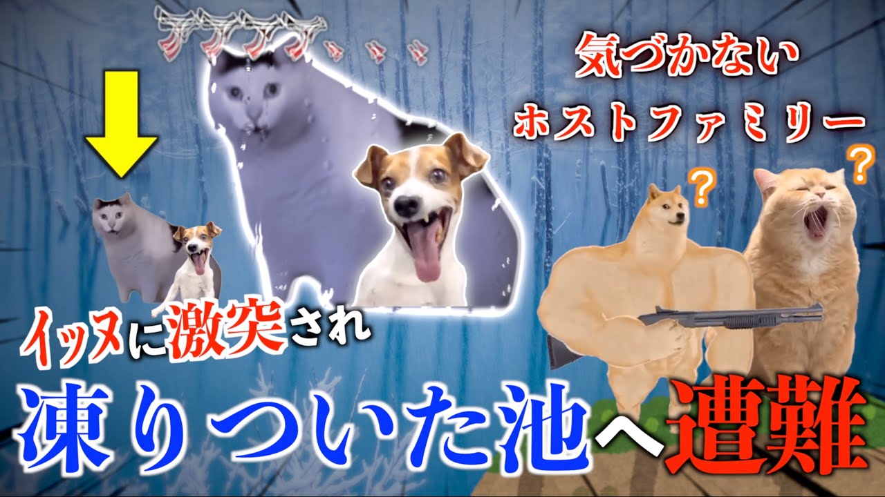 アメリカ留学中、飼いイッヌに池へ突き落とされた話【猫ミーム総集編】