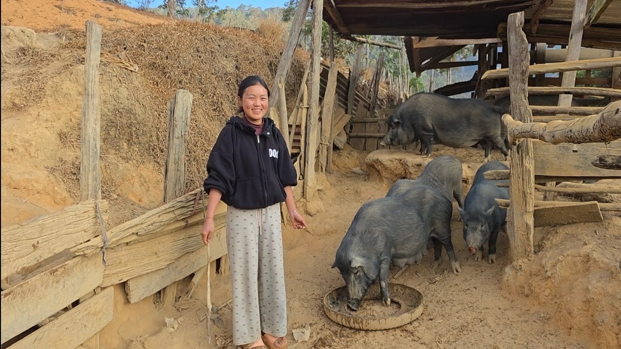 Hnub Tshiab Hauv Moos Om Taib (ບ້ານ ອາວໄຕ້). Feb 4,2026.