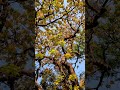 #nature #naturelovers #amantidellanatura #mondoverde #love