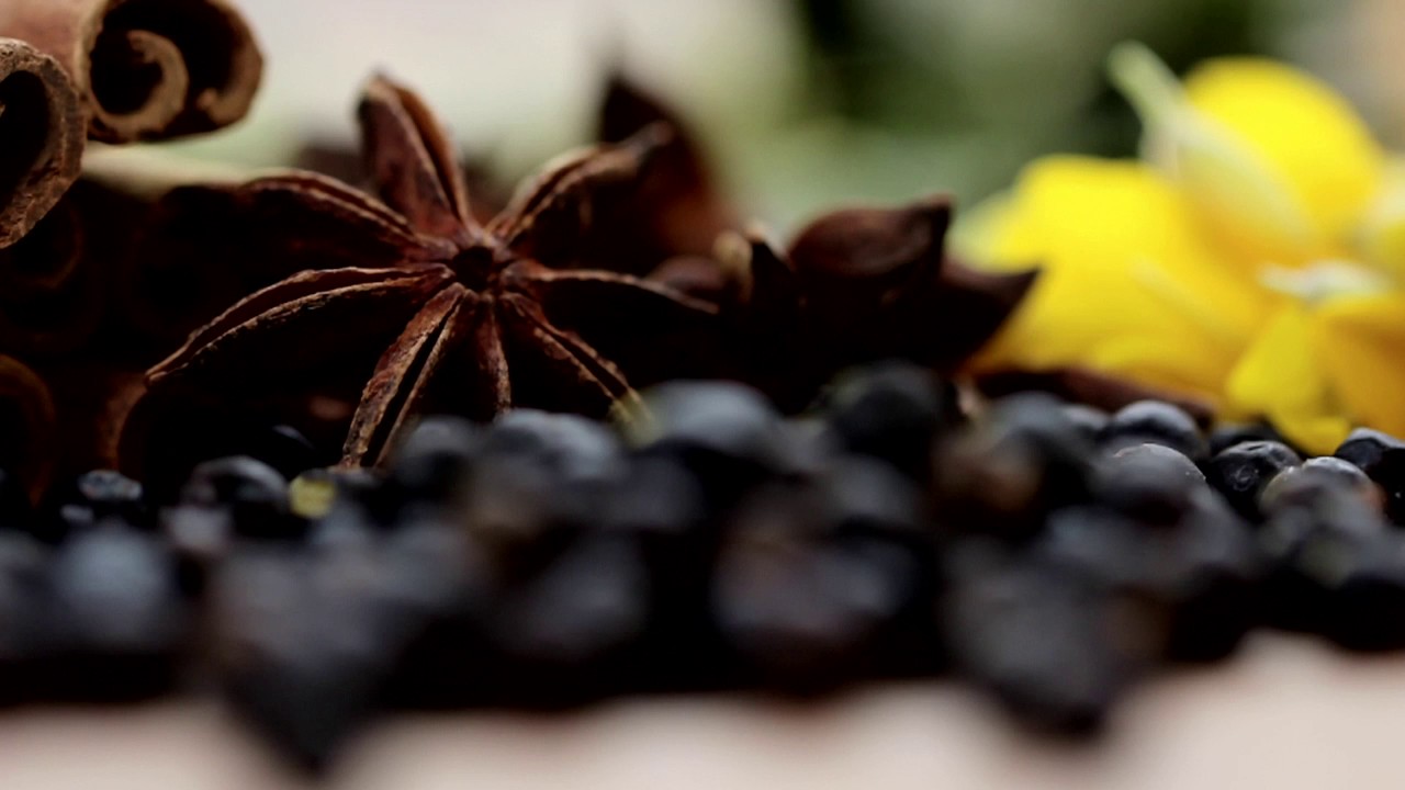 CASPYN CORNISH GIN - INTO THE WILD