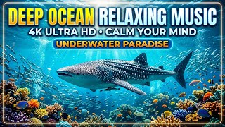 Ocean Harmony Night 🌌 • Relaxation Music for Sleep 😴 • Tranquil Wave Echoes 🌊