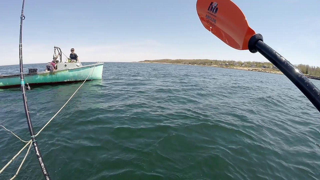 Kayak Towing A Lobster Boat In Gloucester, MA! YouTube