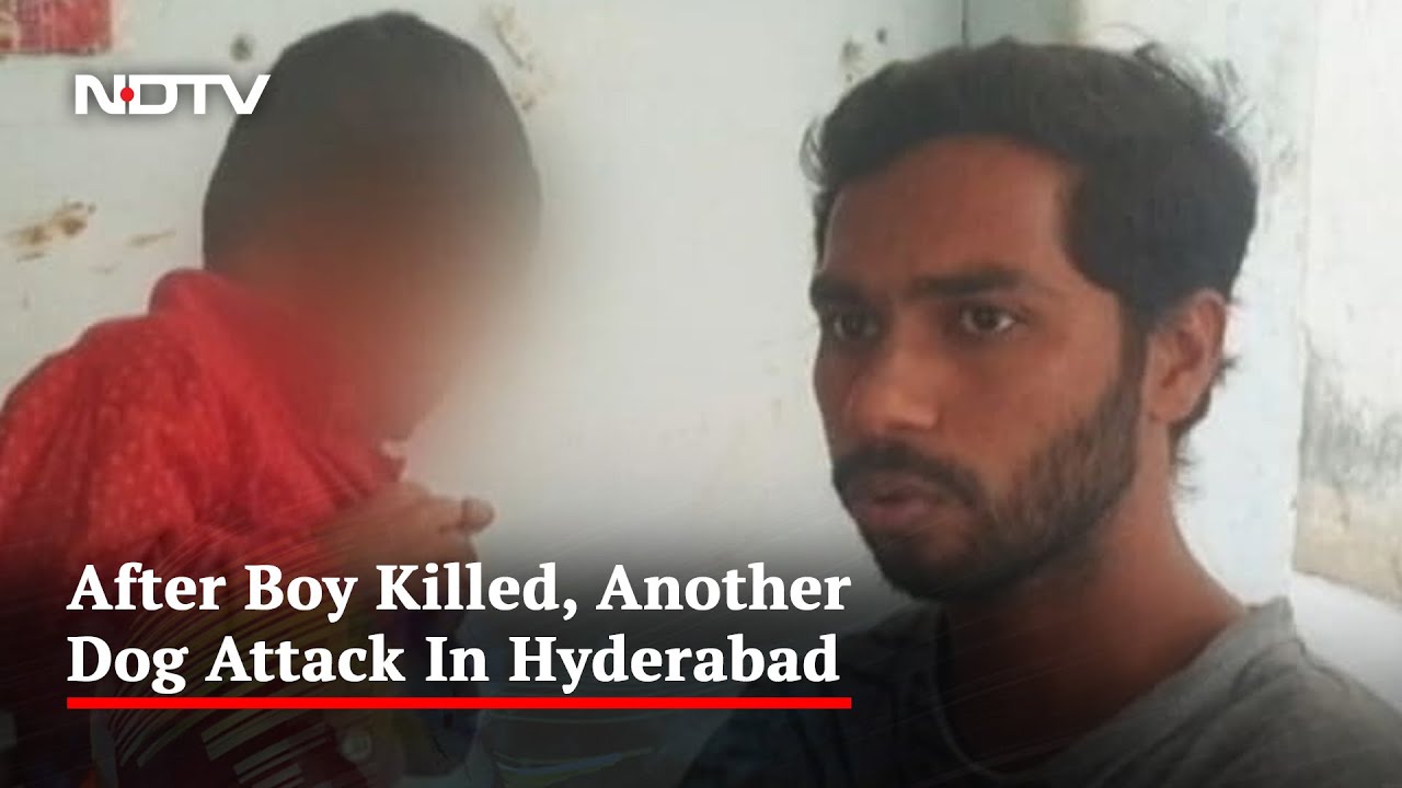 Boy, 4, Injured In Attack By Stray Dogs In Hyderabad - YouTube