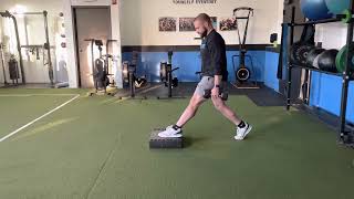 FFE Pendulum Lunge w/ 2 DBโs