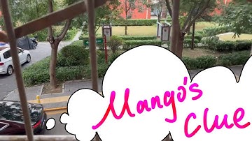 Application Brief for Goldsmiths MA Design: Expanded Practice