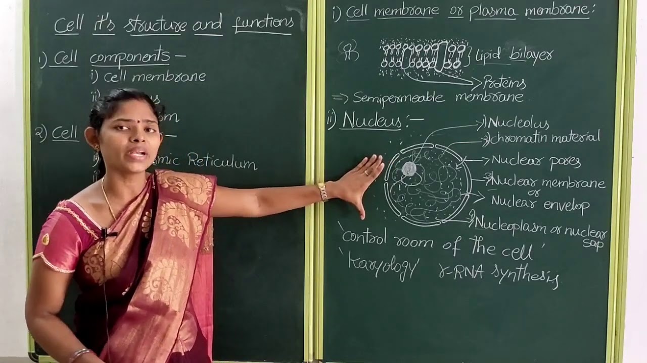 IX-Biology - Lesson-1: Cell - Its Structure and Functions (Part-2 ...