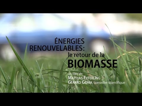 Vidéo: Analyse Du Cycle De Vie Des émissions De Gaz à Effet De Serre Provenant De La Production De Carburéacteur Renouvelable