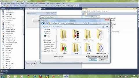 Button  avec image vb.net