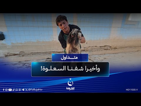 وأخيرا شفنا السعلوة شاب عراقي يص طاد حيوانا بمخالب طويلة متداول