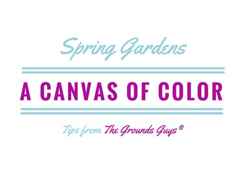 Vídeo: Garden Color Wheel Tips – Usando combinações de cores de flores de forma eficaz