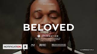 Afrobeat Instrumental 2026 "BELOVED" ( BNXN Type Beat #Pheenrex)