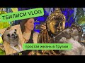 VLOG Моя жизнь в Грузии: Ходим в музей, гуляем по Тбилиси, кошка Ниношка