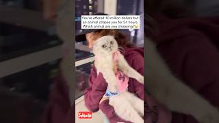 Which Animal Are You Choosing?