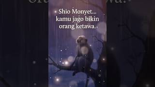 Download Lagu Shio Monyet – Capek Jadi Lucu Terus MP3