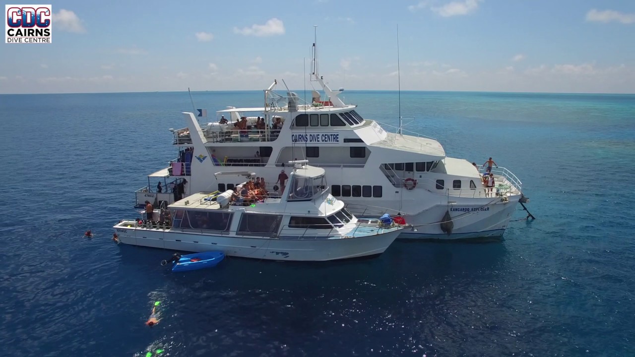 Cairns Dive Center Great Barrier Reef