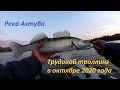 Река Ахтуба. Трудовой троллинг в октябре 2020 года.