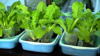 20110505チマサンチュ.mp4