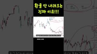원달러환율이 내려오지않는 이유#shorts #shortvideo #short #shortsvideo #shortsviral