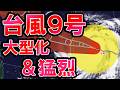 【大型猛烈】台風9号は大型化 猛烈な勢力でさらに発達か 沖縄直撃のおそれも 梅雨前線は北上 猛暑どうなる 気象予報士解説