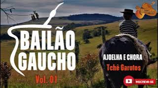BAILÃO GAÚCHO - Vol. 01 - Músicas identificadas