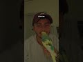 #vogel #birb #budgies #wellensittich #birds #animals #fyp #cockatiel #cute #parrot #pets #parakeet