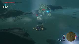 BotW 2023 1 2 Stalblin kills ice keese