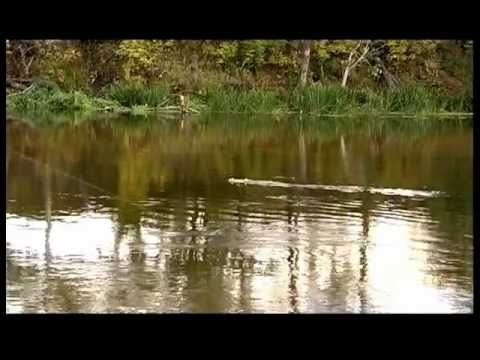 самодельный кораблик для завоза прикормки самодельный кораблик для завоза прикормки