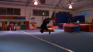 Spin kick aerial butterfly twist combo