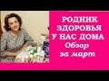 Обзор наших покупок с &quot;Родника здоровья&quot; за март. Для кого и для чего мы берём продукт.