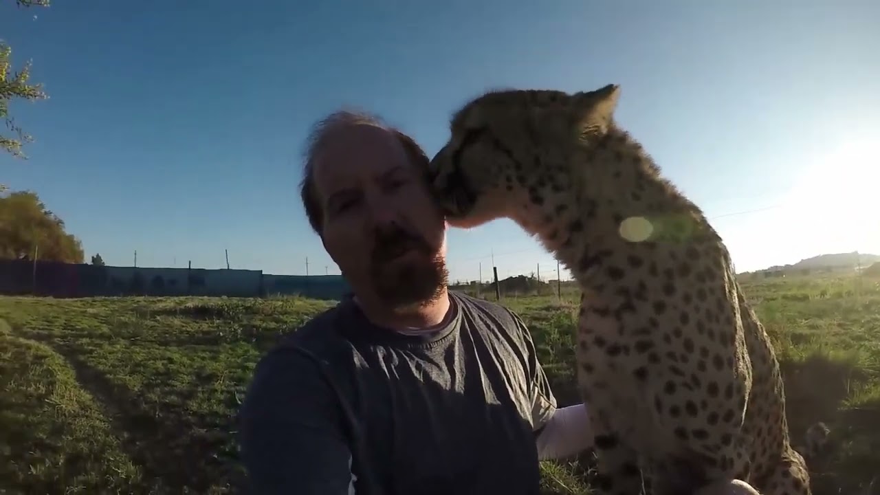 Ready to go awww watching these awdorable animal moments, funny animal videos try not to laugh