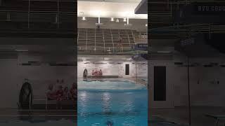 305c 3 meter