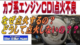 Diagnosis and repair of CDI ignition failures for Cub series