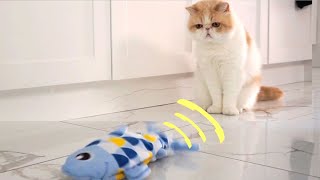 Cats Vs Floppy Fish Toy by Snoopy and Doby 3,770 views 1 year ago 1 minute, 22 seconds