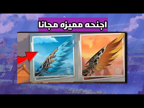 فيديو: كيفية الحصول على أرض للجناح