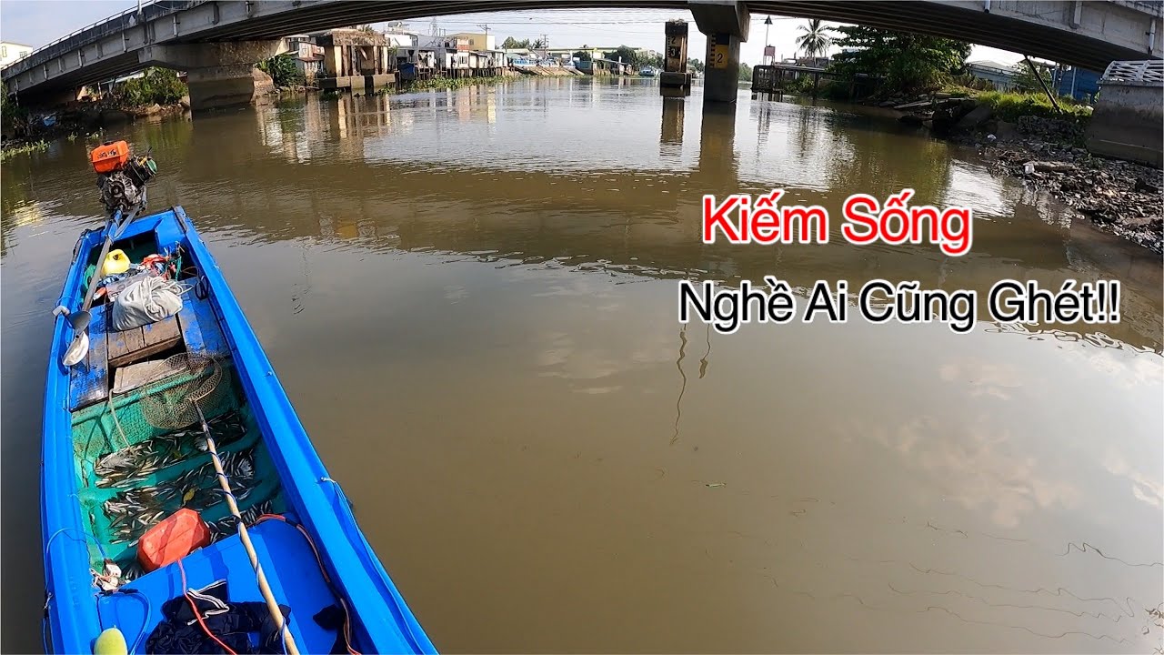 Kiếm Sống Bằng Cái Nghề Hạ Bạc Trên Sông Tiền Và Những Đàn Cá Khổng Lồ | Kích Cá Miền Tây
