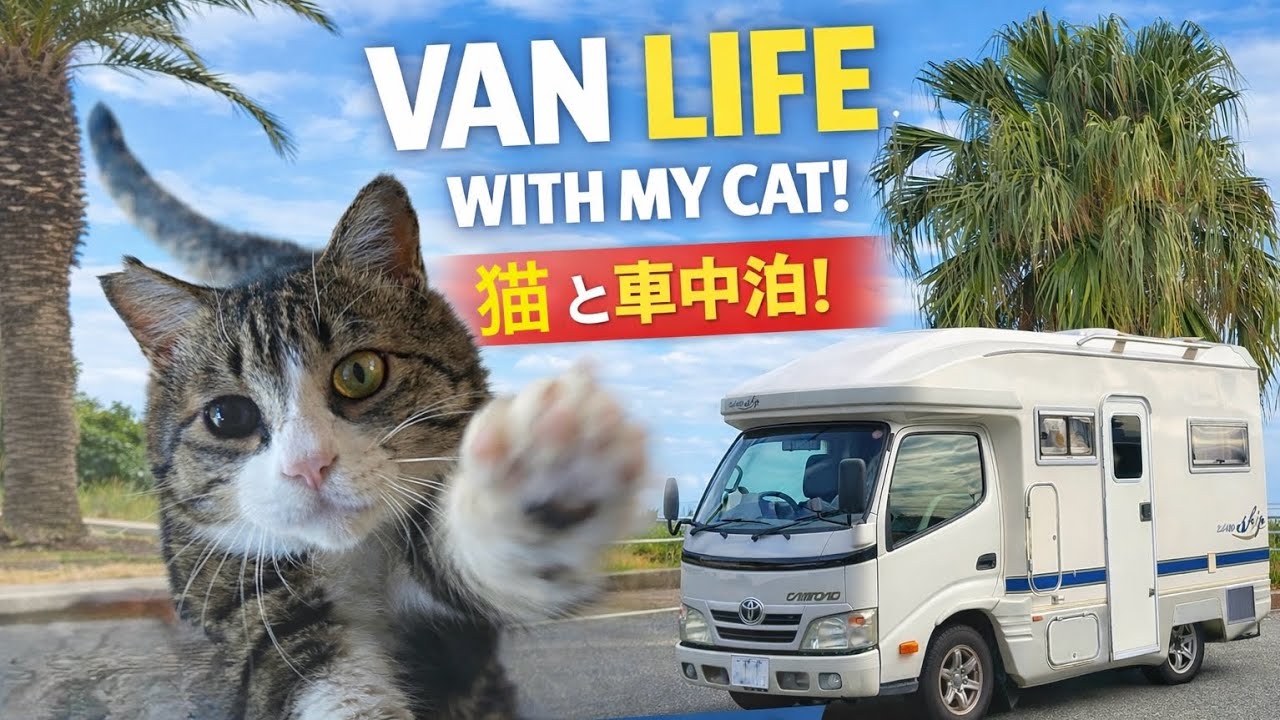 【猫と車中泊旅】13年落ちキャンピングカーZiL480 Skipで行く千葉茨城の旅