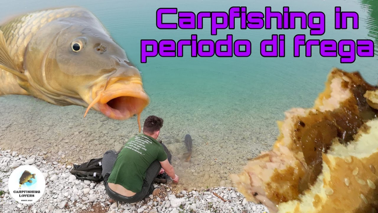 SESSIONE STREPITOSA, Carpfishing in periodo frega
