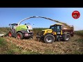 Chopping Corn Silage near Eaton Ohio - August 2018