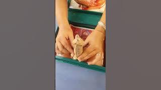 How to Use K*nd0m Properly and Correctly