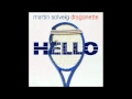 Martin Solveig Dragonette Hello Sidney Samson Mix Avi mp3