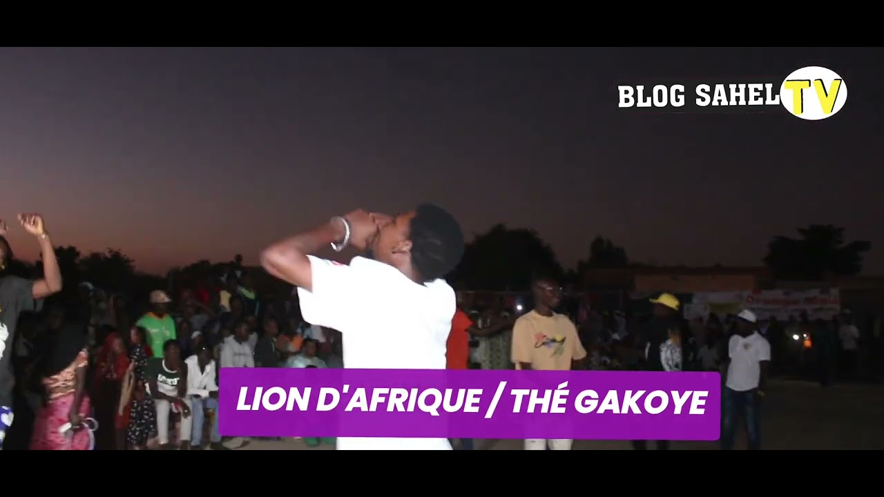 Lion d'Afrique de Gao